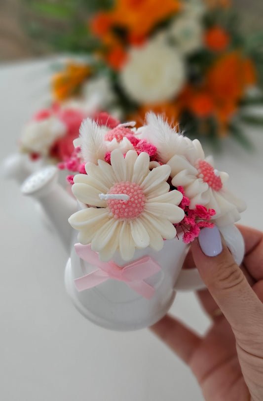 Aranjament Stropitoare